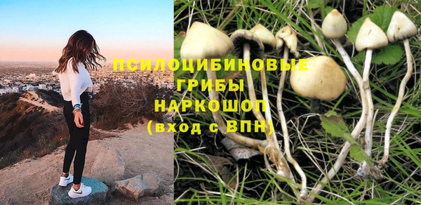 дурь Абаза