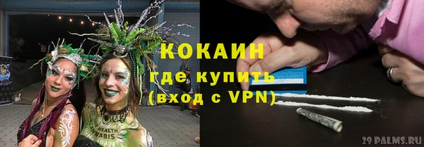 PSILOCYBIN Няндома