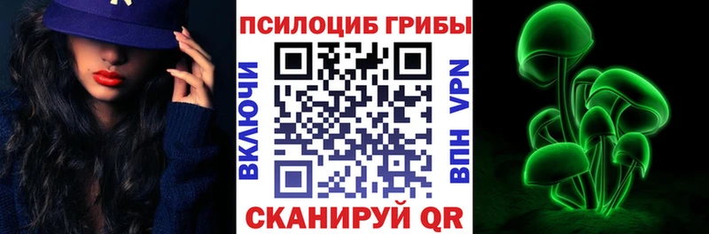 Псилоцибиновые грибы ЛСД  где продают наркотики  Шилка 